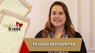 Explica Direito Filiação Socioafetiva  2019 [upl. by Aleusnoc]