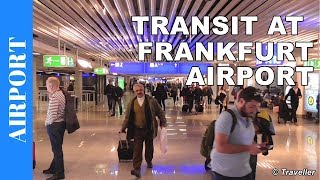 TRANSIT WALK AT FRANKFURT Airport FRA Terminal 1  Connection Flight Transfer Arriving amp Departing [upl. by Tedmund]